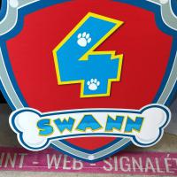 blason pat patrouille